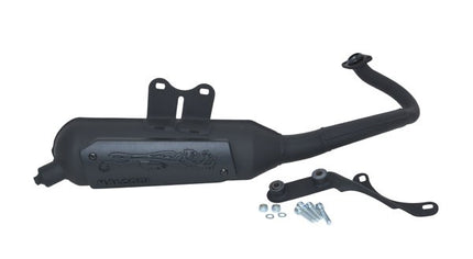 exhaust Malossi standard model Wild Lion lx 2t, primavera, sprint, vespa S 2t 3216579