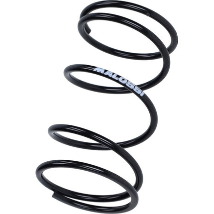koppelingdrukveer malossi zwart dink, sco piaggio 2t, sco piaggio 4t-3v I-get 2916111.b0