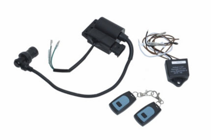 Limiteur de régime euro-b réglable + télécommande CDI 35km scooter Piaggio 4T-2V