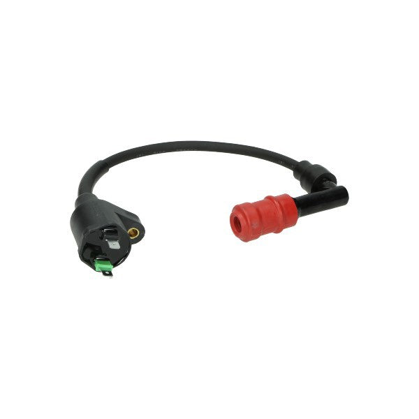 ignition coil Piaggio original Liberty IGET cm271702