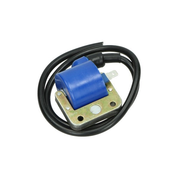 bobine Piaggio origineel bravo, si, maxi nt, bromfiets vespa 244114