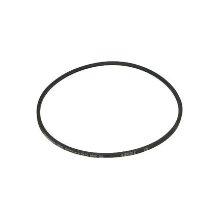 v-belt 1012mm bravo, ciao, citta, si