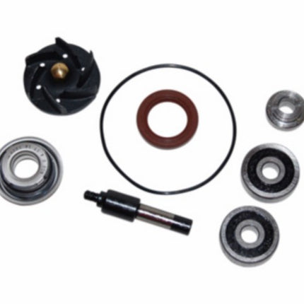 Water pump repair kit for GTS, GTV, Nexus