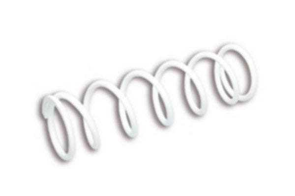 veer malossi schokbreker achter zip sp, zip2000sp 2914753b