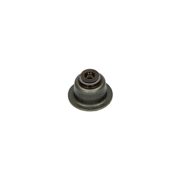 klepseal Piaggio origineel euro-2 sco piaggio 4t-4v 843307
