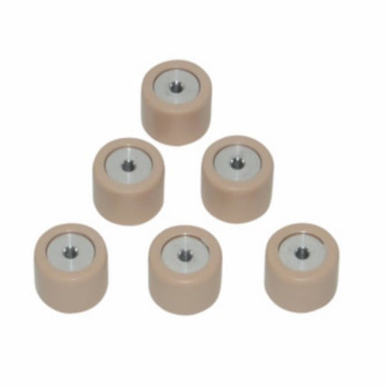 variorolset Piaggio origineel 19x15.5mm 7,5 gram fly 2t, lx 2t, lxv 2t, nrg, runner, typhoon, vespa S 2t, zip2000 cm1102015