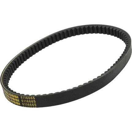 v-belt malossi 795.5x20 agility 125, agility 150, new like, people-s, super-8 6116665
