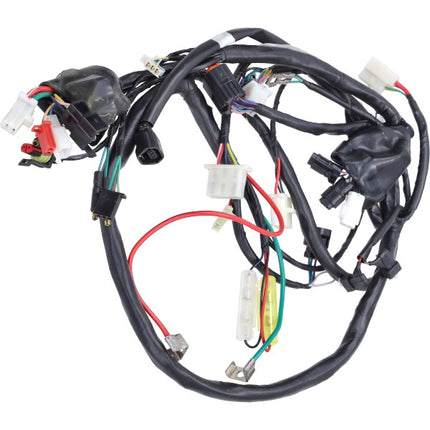 Wiring harness Kymco original Euro-3 Agility 7003015e3