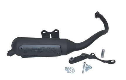 pot d'échappement Malossi modèle standard Wild Lion SR moteur Piaggio 3216582