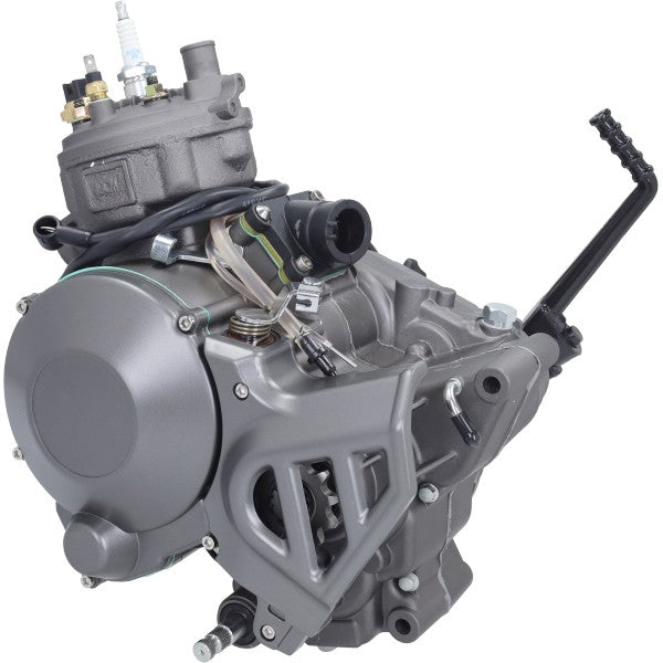 motorblok origineel model (inclusief startmotor) 50cc minarelli am6