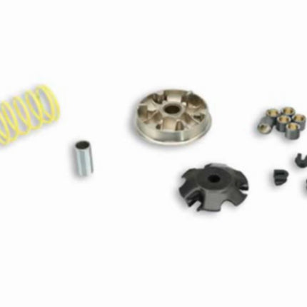 variokit malossi 100cc elyseo, speedfight, tkr, viva 5111558