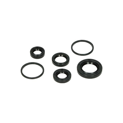 keerringset DMP motorblok 6-delig buxy, speedake, speedfight, sv, viva, zenith