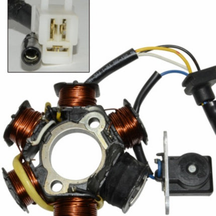 Ignition DMP Buxy, Looxor, Rapido, Speedfight, SV, Viva, Zenith