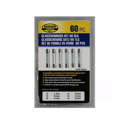 PA0404A glaszekeringen 60stk VV