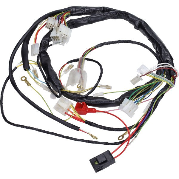 kabelboom gilera SMT, senda x-race, senda x-treme, senda drd 2006-2010 00h01046301