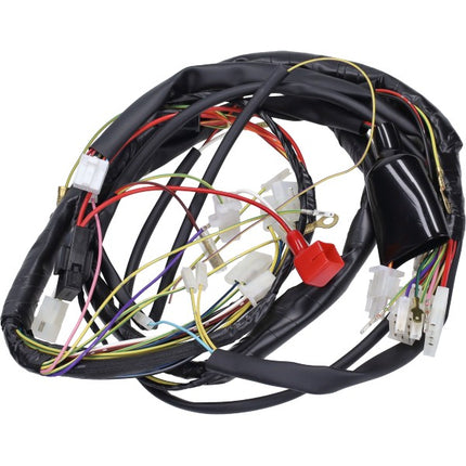 faisceau de câblage Aprilia RX50, Senda DRD EVO 2008-2009, SX, Senda DRD 2005-2008 86107R