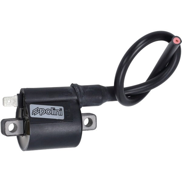 bobine polini digitaal derbi d50b, minarelli am6 171.0695