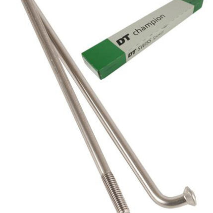 Spaak DT Swiss Champion 13x282 100 Zilver