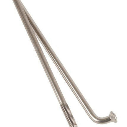 Spaak DT Swiss Competition 14x300 100 Zilver