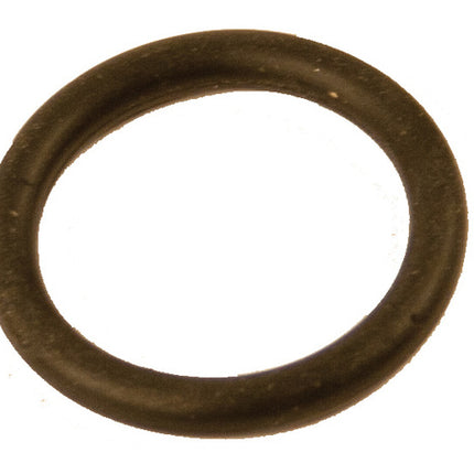 AQUA2GO O Ring Controle Ventiel