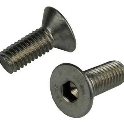 Bout M6X16 Inbus RVS Verz DS A 25 Zilver