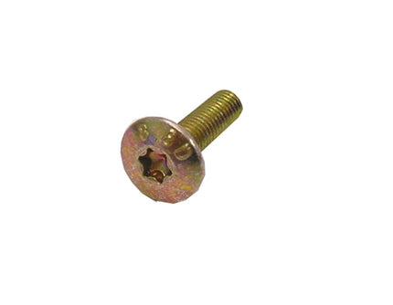 Bout 5x18 Torx set van 10