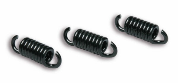 trekveer malossi koppeling zwart runner 180cc 2t 2912049