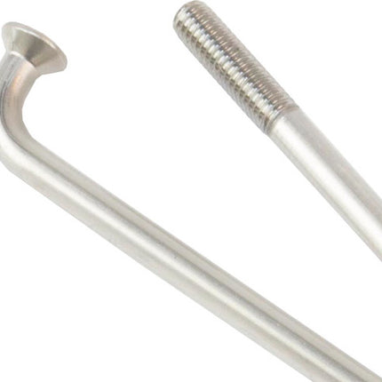 Spaak DT Swiss Champion 13x244 100 Zilver