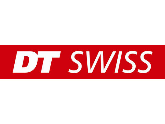 Spaak DT Swiss Champion 13x246 100 Zilver