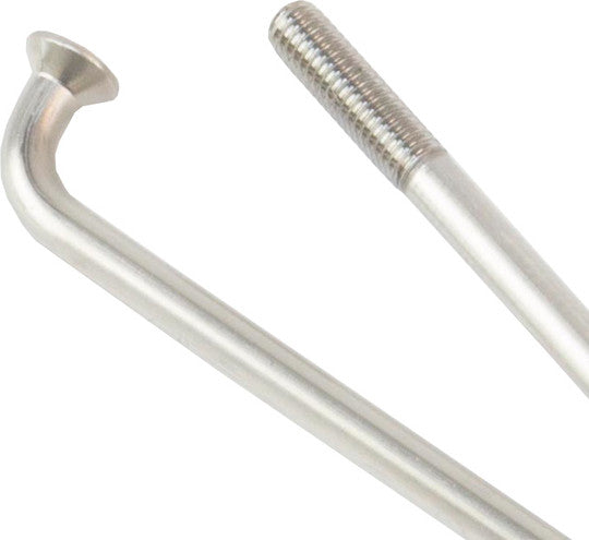 Spaak DT Swiss Champion 13x248 100 Zilver