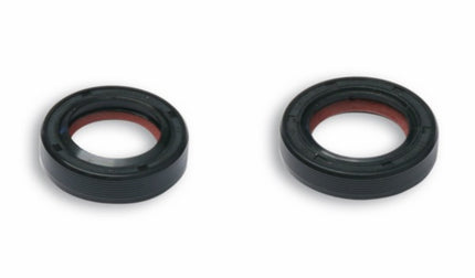 keerringset malossi krukas FKM/PTFE sco piaggio 2t 6618157