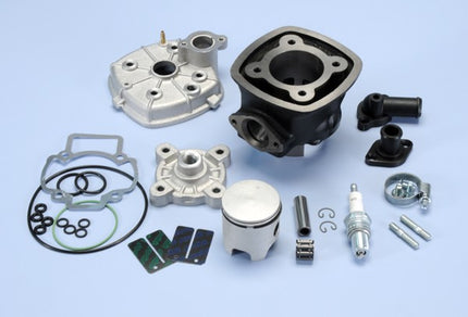 cilinder met kop polini racing 47mm sco piaggio lc 140.0183r