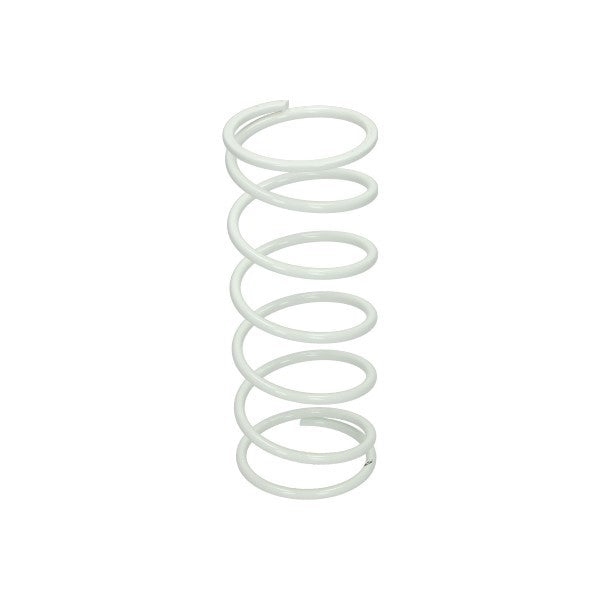 koppelingdrukveer malossi wit runner 180cc 2911084.w0
