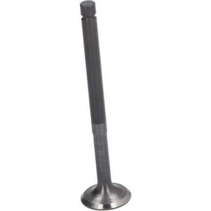 uitlaatklep euro-2 2v liberty 4t, lx 4t, primavera 4t, sco piaggio 4t-2v, sprint, zip 4t