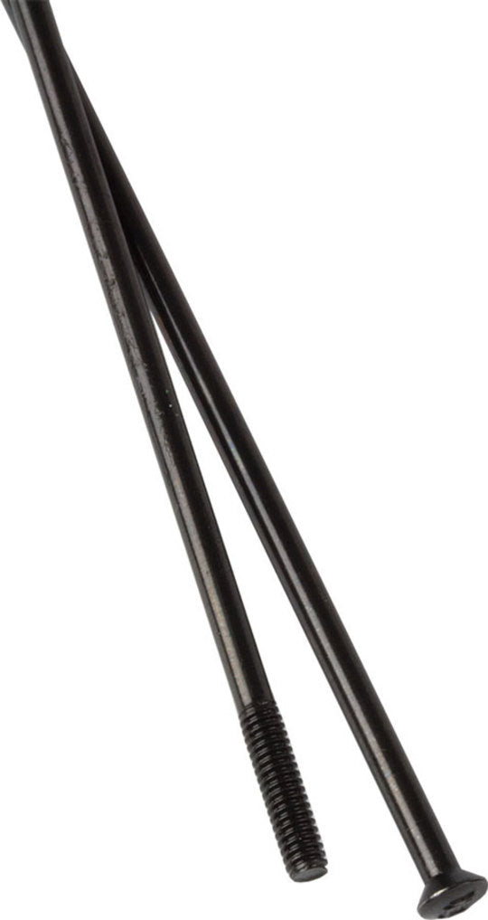 Spaak DT Swiss Champion 14x302 100 Zwart