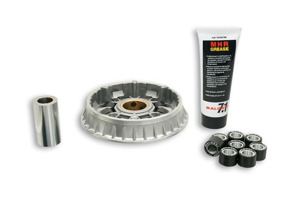 variokit malossi gp800, srv850 5116230