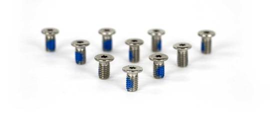 Bout 6x10 Torx T20 7984 LT RVS set van 10 Zilver