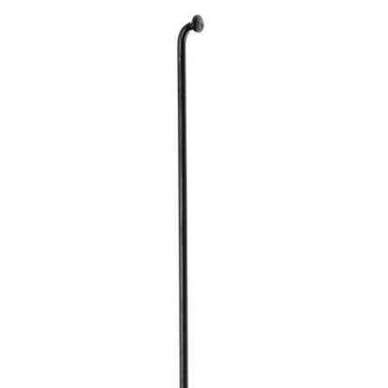 Spaak DT Swiss Champion 13x274 100 Zwart