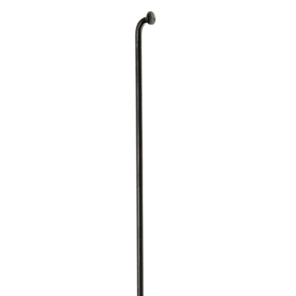 Spaak DT Swiss Champion 13x234 100 Zwart