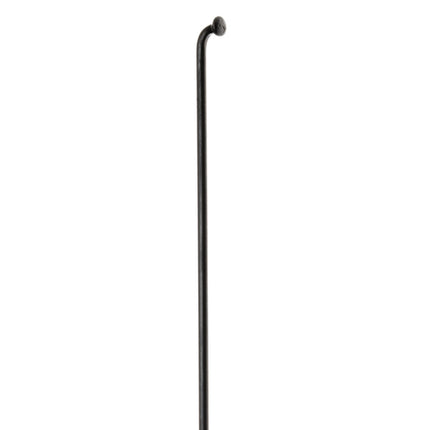 Spaak DT Swiss Champion 13x256 100 Zwart