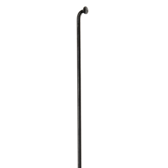Spaak DT Swiss Champion 13x256 100 Zwart