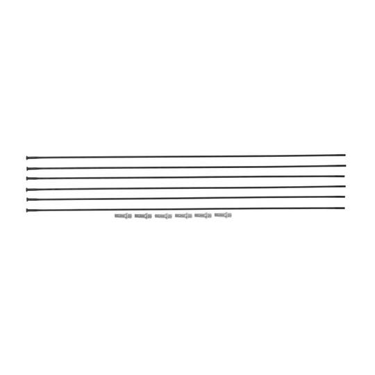 Spaakkit DT Swiss HXC1200 Spline 29" 6 Zwart