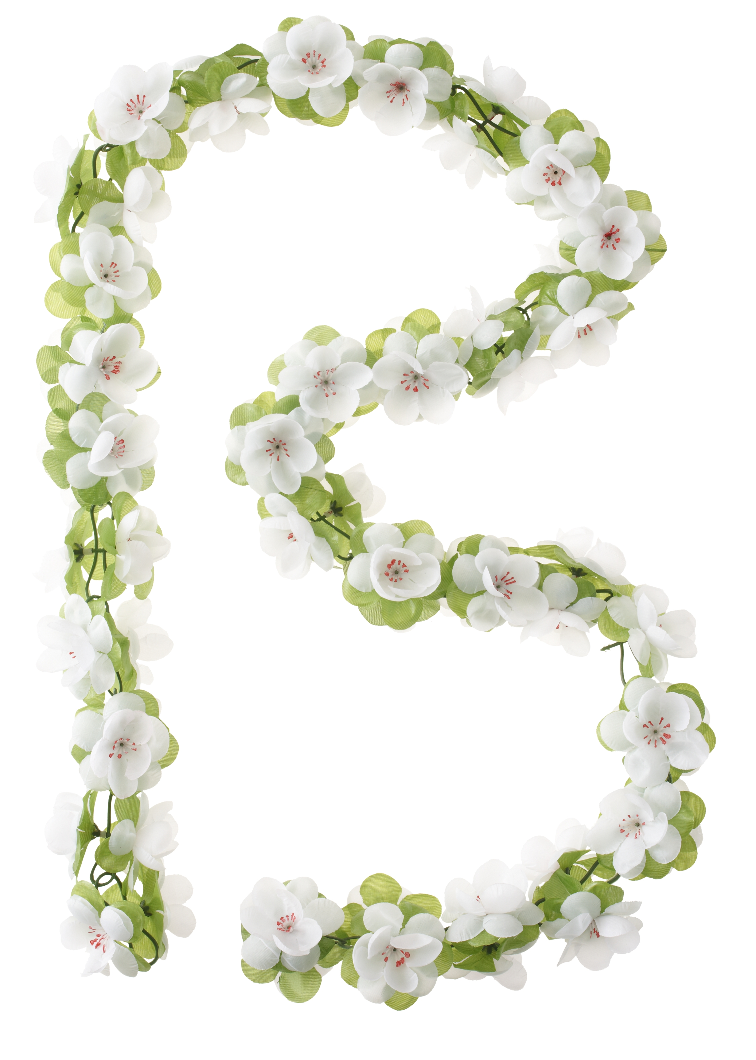 Bloemenstreng Basil Garland - wit
