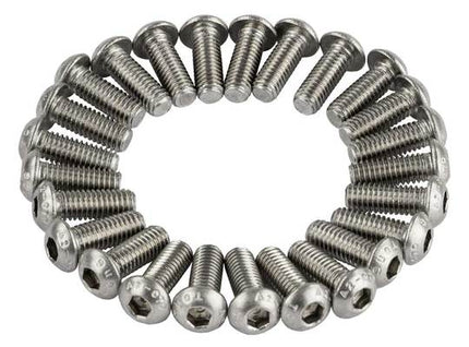 Bout M6X16 Inbus RVS ISO7380-1 A2-070 set van 25 Zilver