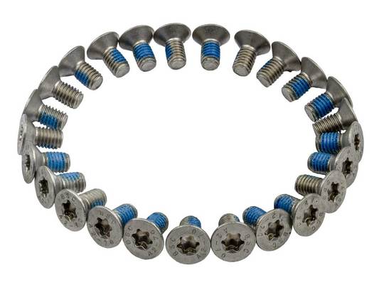 Bout M6X12 Torx DIN 7991 A2-070 set van 25 Zilver