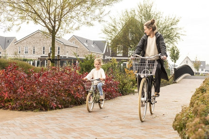 Voordrager 28" Steco FW2 Chroom