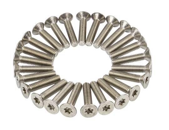 Bout M4X20 Torx Verz KOP ISO14581 set van 25 Zilver