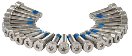 Bout M6X25 Inbus M/LOCTITE RVS D912 A2 set van 25 Zilver