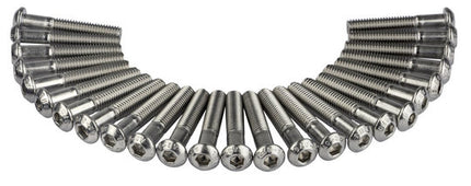Bout M6X35 Inbus RVS ISO7380-1 A2-070 set van 25 Zilver