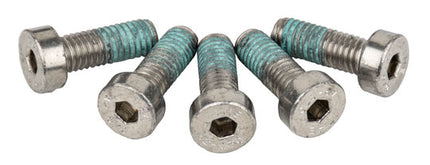 Boutset Wurth Inbusbout Bout M5X14 Inbus 7974 Zilver